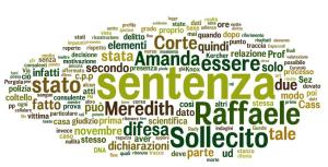 wordle of raffele sollecito appeal in amanda knox trial